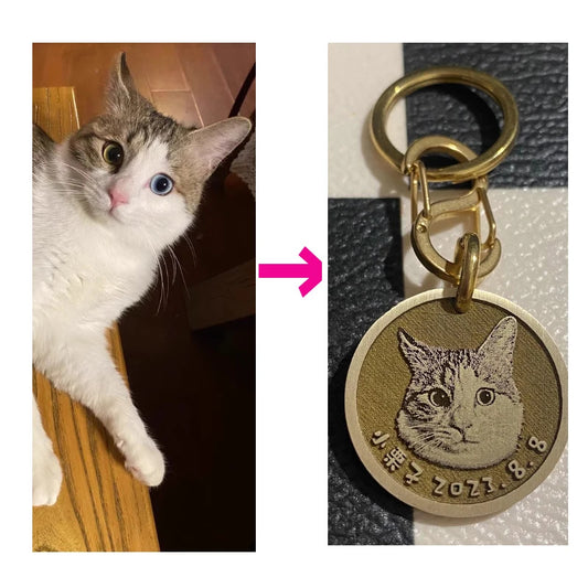 Custom Anti-lost Dog ID Tag with Photos Deep Carving Round Cooper Pet Nameplate Engraved Necklace Chain Charm
